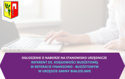Zdjęcie do NAB&Oacute;R NA STANOWISKO URZĘDNICZE  REFERENT DS...