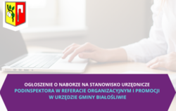 Zdjęcie do NAB&Oacute;R NA STANOWISKO URZĘDNICZE  PODINSPEKTORA...