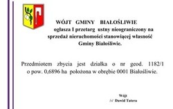 Zdjęcie do I przetarg  ustny nieograniczony na sprzedaż...