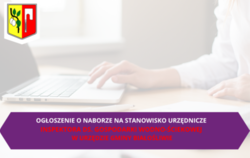 Zdjęcie do NAB&Oacute;R NA STANOWISKO URZĘDNICZE  INSPEKTORA DS...