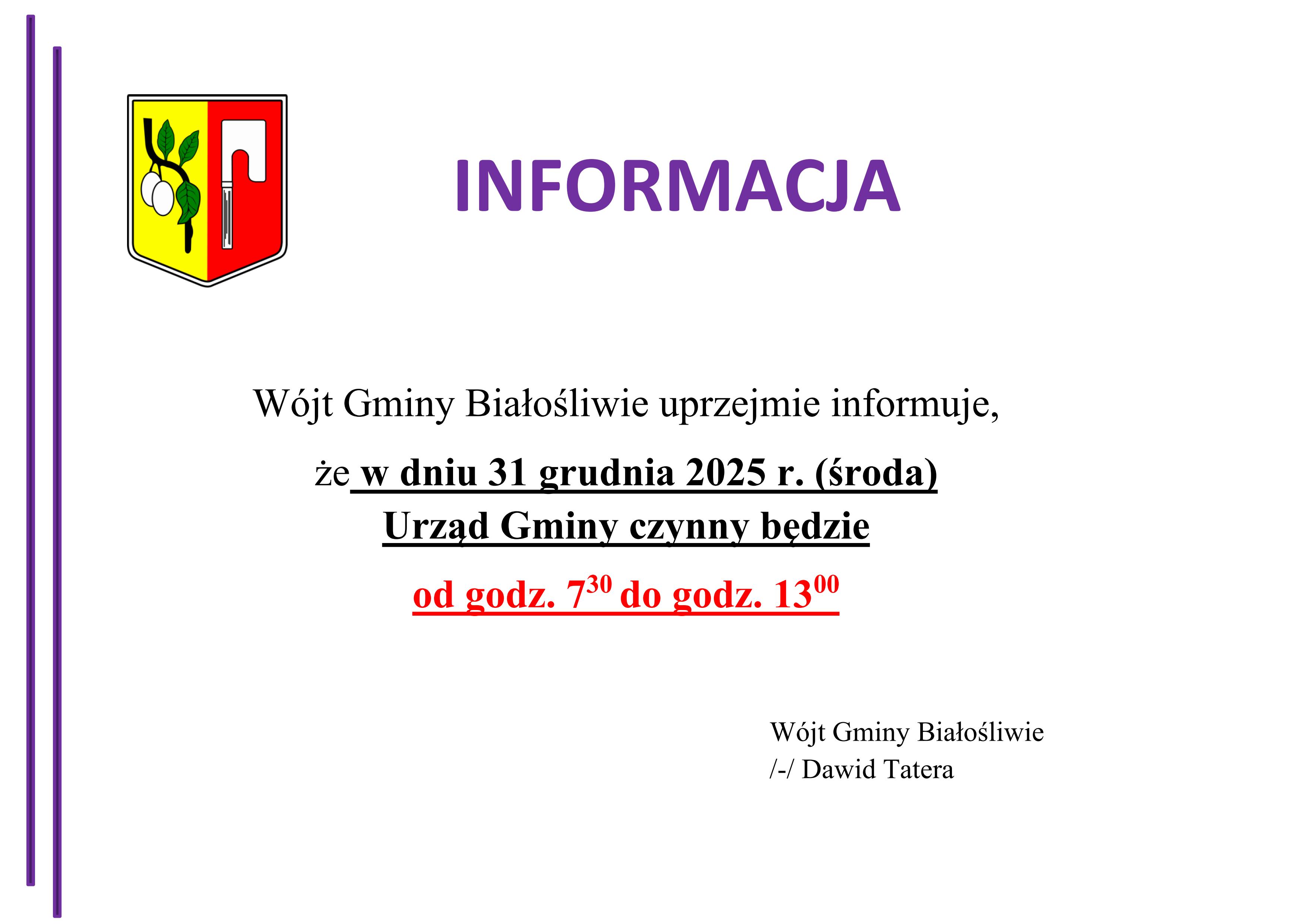 Dzień_skr&oacute;cony_-_sylwester_01