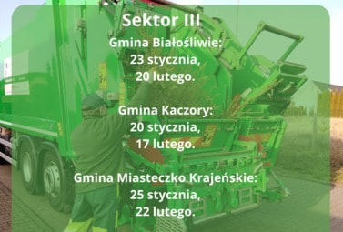 Zdjęcie do Informacja PRGOK - Co zrobić z usychającą i gubiącą igły choinką? 