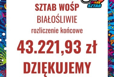 Zdjęcie do 31 Finał WOŚP w Białośliwiu.