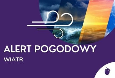Zdjęcie do ALERT POGODOWY - SILNY WIATR