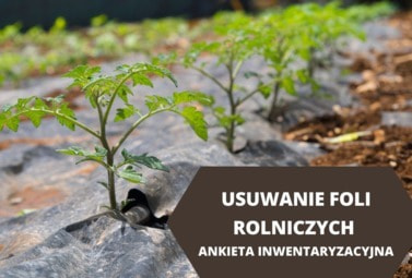 Zdjęcie do OGŁOSZENIE -  &rdquo;Usuwanie folii rolniczych i innych odpad&oacute;w pochodzących z działalności rolniczej&rdquo;