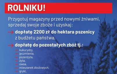 Zdjęcie do Rolniku - przygotuj magazyny przed nowymi żniwami