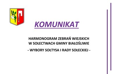 Zdjęcie do Harmonogram Zebrań Wiejskich - Wybory Sołtysa i Rady Sołeckiej