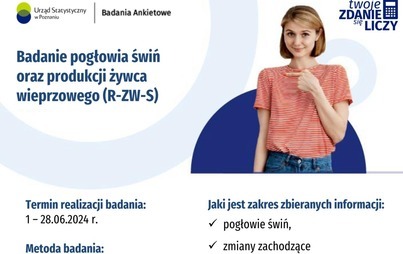 Zdjęcie do BADANIA ANKIETOWE 2024 - Badanie pogłowia świń oraz produkcji żywca wieprzowego (R-ZW-S)