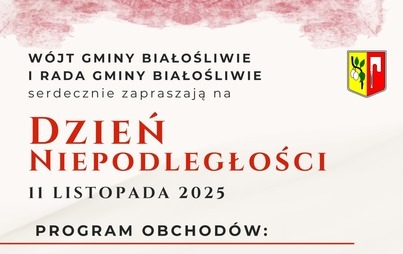 Zdjęcie do Dzień Niepodległości - 11 listopada 2025 r.
