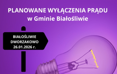 Zdjęcie do PLANOWANE WYŁĄCZENIA PRĄDU w Gminie Białośliwie &rArr; 26.01.2026 r.