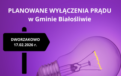 Zdjęcie do PLANOWANE WYŁĄCZENIA PRĄDU w Gminie Białośliwie &rArr;Dworzakowo &rArr; 17.02.2026 r.