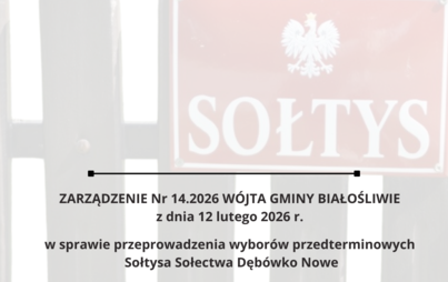 Zdjęcie artykułu z dnia 18-02-2026