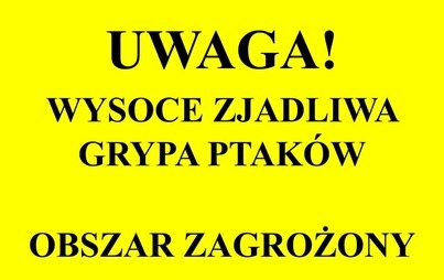Zdjęcie artykułu z dnia 04-03-2026