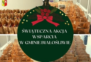 Zdjęcie do ŚWIĄTECZNA AKCJA WSPARCIA W GMINIE BIAŁOŚLIWIE
