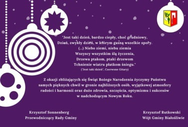 Zdjęcie do Święta Bożego Narodzenia