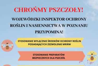 Zdjęcie do CHROŃMY PSZCZOŁY !