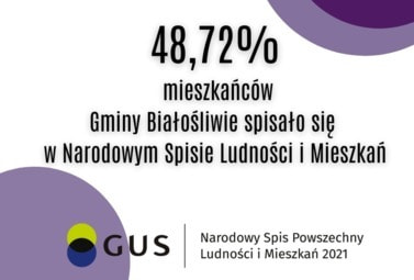 Zdjęcie do Narodowy Spis Powszechny Ludności i Mieszkań.