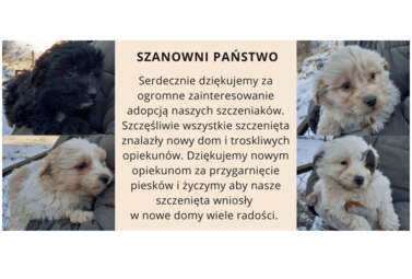 Zdjęcie do PODZIĘKOWANIA
