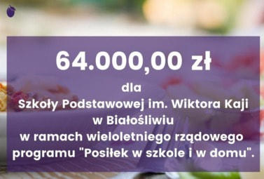 Zdjęcie do "Posiłek w szkole i w domu"