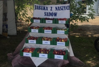 Zdjęcie do Krajeńskie Spotkanie Sadownicze w Pob&oacute;rce Wielkiej
