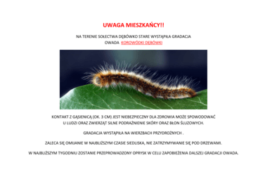 Zdjęcie do UWAGA MIESZKAŃCY!!