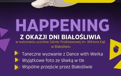 Zdjęcie do Szkolny happening z okazji DNI BIAŁOŚLIWIA z Dance with Werka